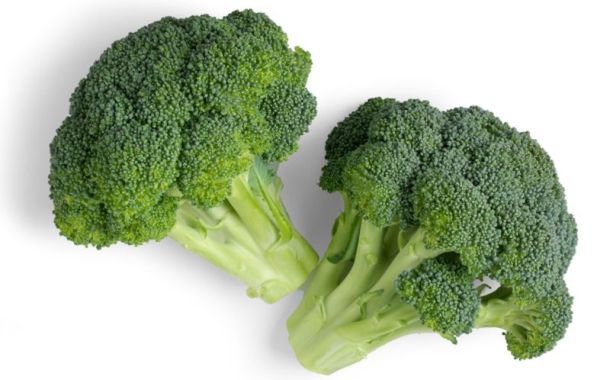 Brocoli DailySmile